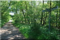 Bridleway at Staffordlake