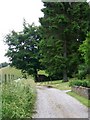 Bridleway, Ashmore Bottom