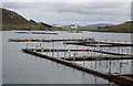 Fish Farming at Miabhaig