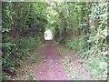 Bridleway near Ashmore