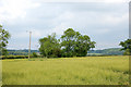 View northeast from Oaklands Farm