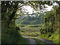 Cilfery Isaf farm through farm gate