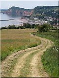 SY1387 : Path to Sidmouth by Derek Harper