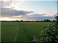 West Wiltshire : Grassy Field & Fence