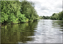 SO8540 : River Severn, Upton upon Severn by Pierre Terre