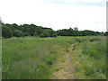 Footpath across uncultivated land