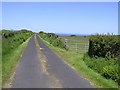C6045 : Road at Carrowmeanagh by Kenneth  Allen