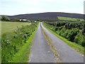 C6045 : Road at Carrowmeanagh by Kenneth  Allen