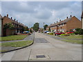 Houses along Woodpecker Road