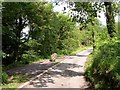 Entrance to Bryndias farm