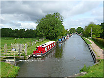 SJ8512 : Shropshire Union Canal at Wheaton Aston, Staffordshire by Roger  D Kidd