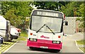 Belfast bus, Donard forest