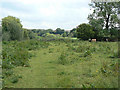 Pasture alongside the River Dee