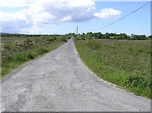 C5047 : Road at Isle of Grallagh by Kenneth  Allen