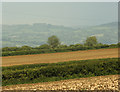 2009 : Farmland on Dundry Hill