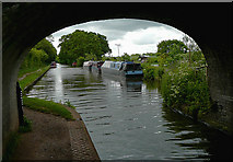 SJ8512 : Shropshire Union Canal near Wheaton Aston, Staffordshire by Roger  D Kidd