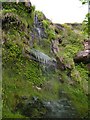 Dripping Cliffs on Orroland Shore