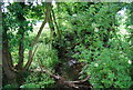 River Bourne from Puttenden Road bridge