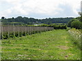 Farmland Near Gain