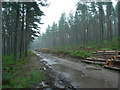 Hill of Fare in the rain