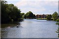 River Thames from Culham Bridge