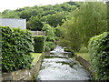 Thornton  Beck  behind Thornton  Mill