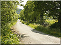 2009 : Lane to Brewham Lodge Farm and Tree Tops Farm