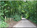 Minor road, through Danes Wood