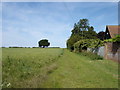 Footpath running alongside Westerfield Hall