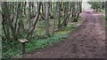 Miniature lectern on bridleway