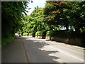 The Haybridge milestone in its setting