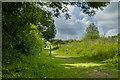 Summer Leys Nature Reserve