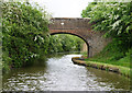 SO9263 : Bridge 36, Worcester and Birmingham Canal by Pierre Terre