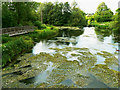 River Kennet at Eddington