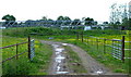 Open Air Polytunnels