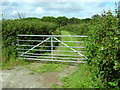 Farm track off the road to Stockland Bristol