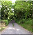 Track to Roadhouse farm