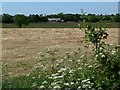 Farmland near Station Poultry Farm