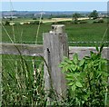 View from Klondyke Lane