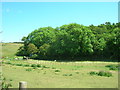 TA0185 : Farmland near Irton Manor by JThomas