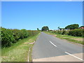 Minor Road Towards Riggs Head