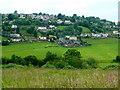 View across the Drybrook valley