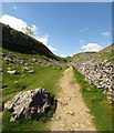 SD8964 : The Pennine Way north of Malham Cove by Andy Beecroft