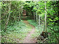 Steep woodland footpath near Blue Bell Hill