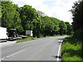 A417 Lay-by, Cowarne Woods