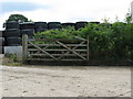 Silage bales at Gibbons Mill Farm