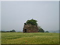 SJ7521 : Forton windmill - ruins by Richard Law