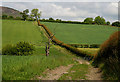 A farm track near Mainhill