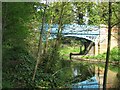 SP8710 : Wendover Arm: Bridge No. 8a – The  Rothschild Bridge by Chris Reynolds