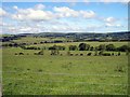 Fields down to the Clettwr fawr